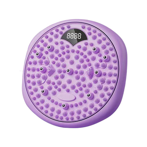 Magnetic Twist Disc Waist Body Shaping Trainer