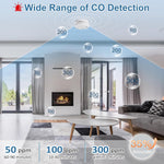 LCD Carbon Monoxide Detector Sensor Alarm Safety