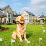 Smart Wireless Dog Fence Remote Training Collar