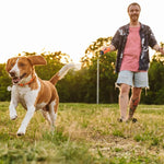 Rechargeable Ultrasonic Dog Training Bark Deterrent Device
