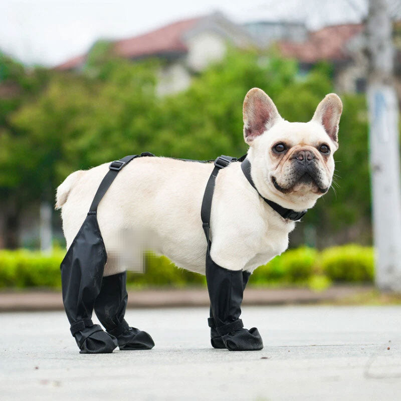 Anti-Fall Waterproof Dog Boots Paw Protectors Outdoor