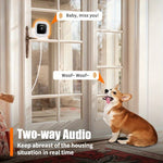 Night Vision Panoramic Window Smart Security Camera