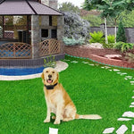 Smart Wireless Dog Fence Remote Training Collar